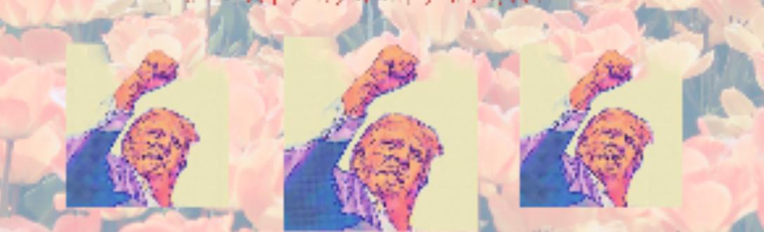 We Love Donald Trump